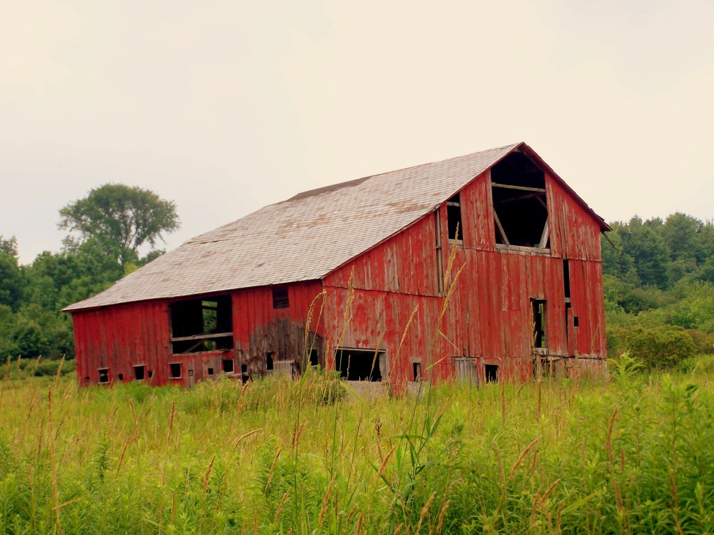 ‘The Beauty of Barns’ | Linda Straub